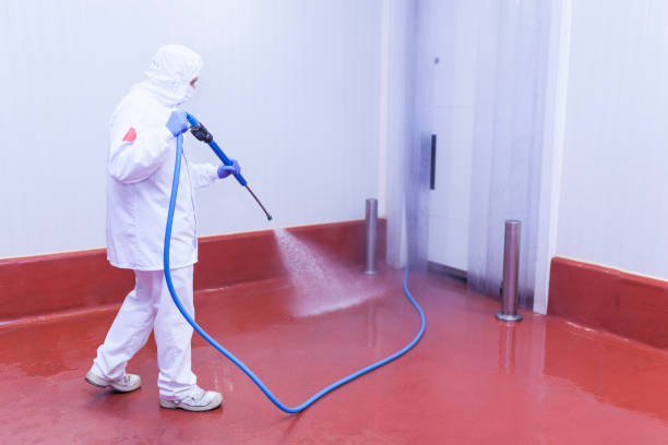 Paint Preparation in River Falls, WI