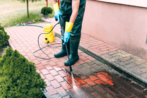 Best Solar Panel Cleaning  in River Falls, WI